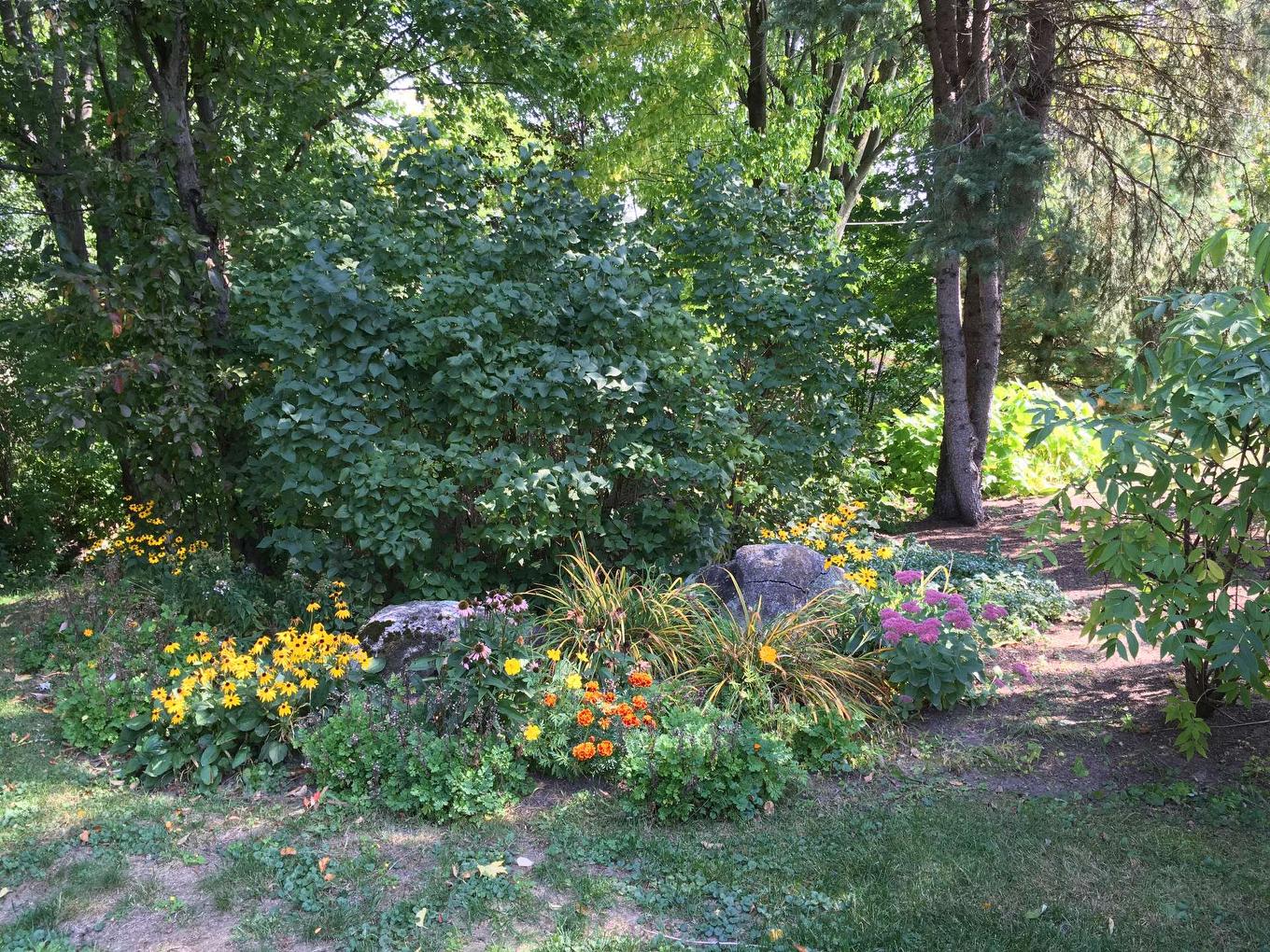 Autre - 450 Av. Denonville, Saint-Hyacinthe, QC - Outdoor