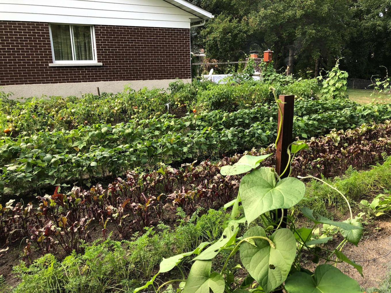 Autre - 450 Av. Denonville, Saint-Hyacinthe, QC - Outdoor