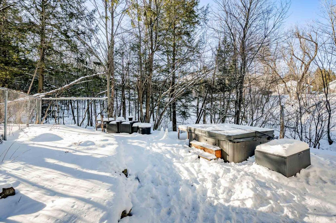 Cour - 54 Rue Downs, Sherbrooke (Lennoxville), QC - Outdoor