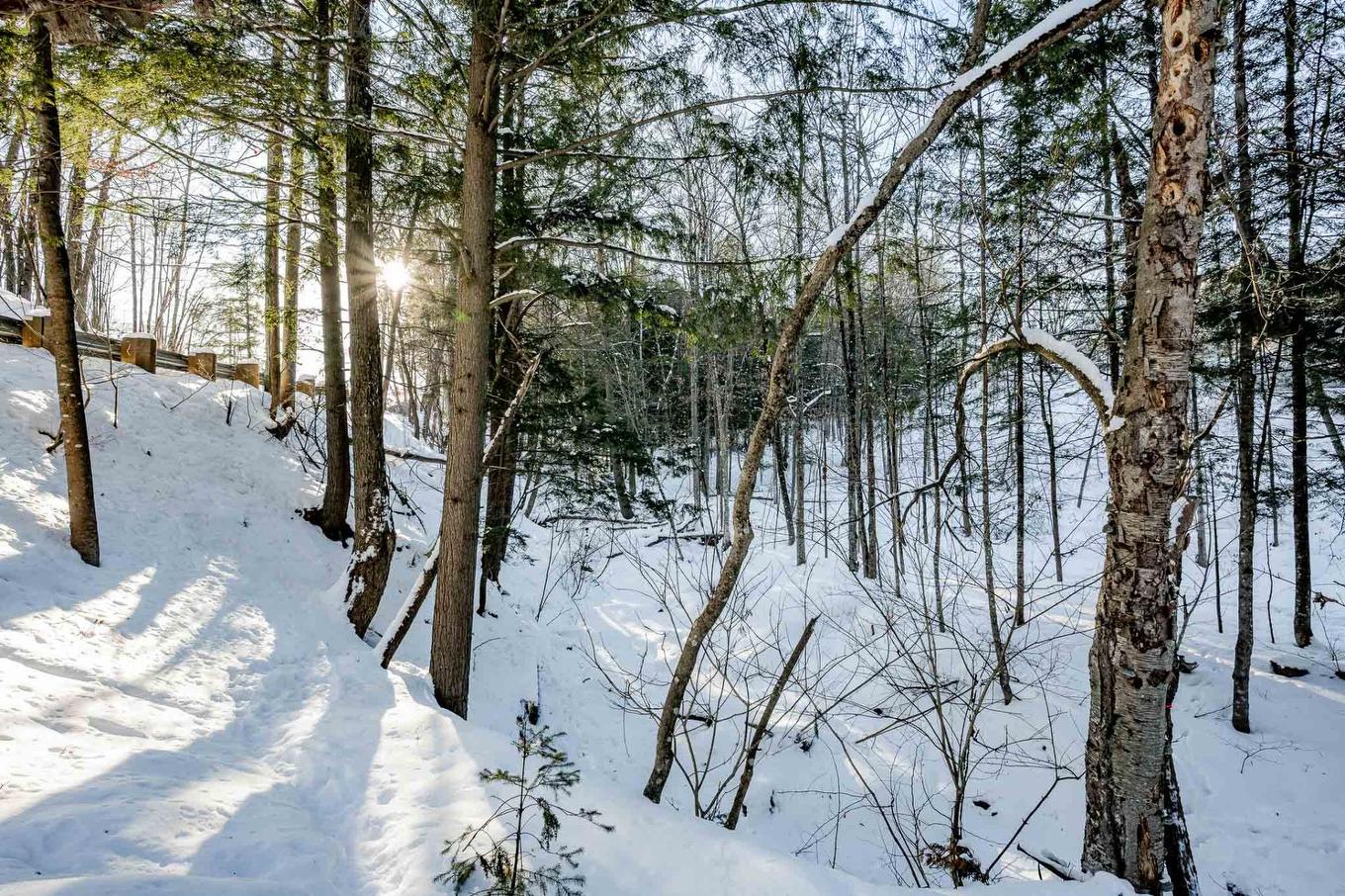 Cour - 54 Rue Downs, Sherbrooke (Lennoxville), QC - Outdoor With View