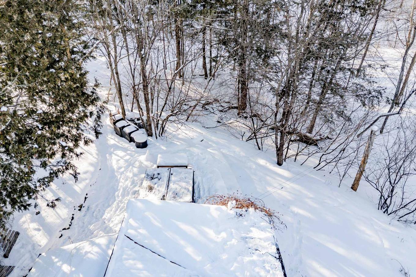 Cour - 54 Rue Downs, Sherbrooke (Lennoxville), QC - Outdoor With View