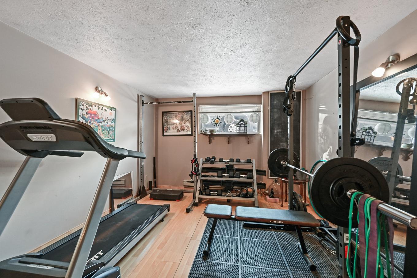 Salle familiale - 271 Rue Savard, Saint-Jean-Sur-Richelieu, QC - Indoor Photo Showing Gym Room