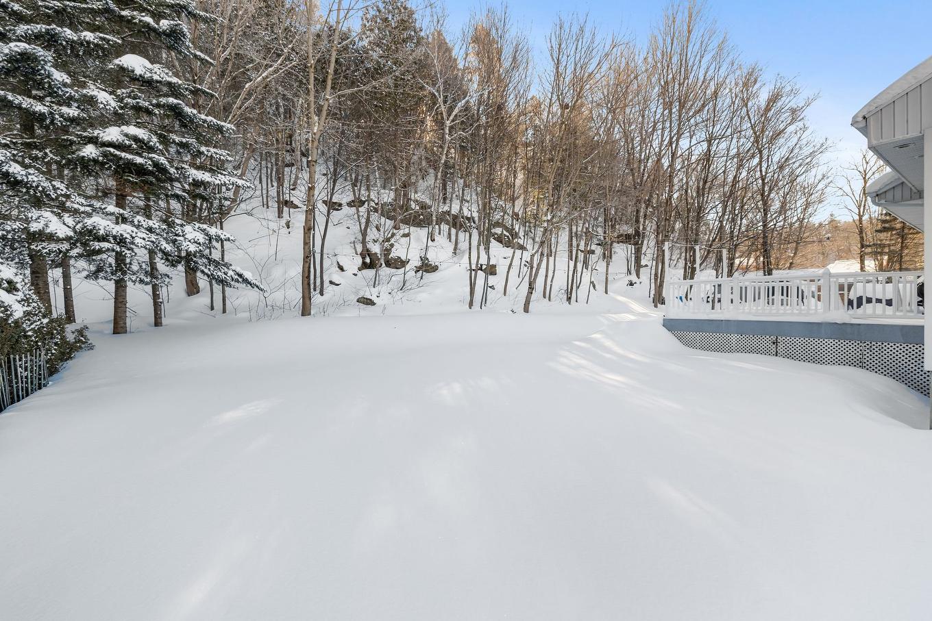 Backyard - 1375 Rue Baronet, Lévis (Les Chutes-De-La-Chaudière-Ouest), QC - Outdoor