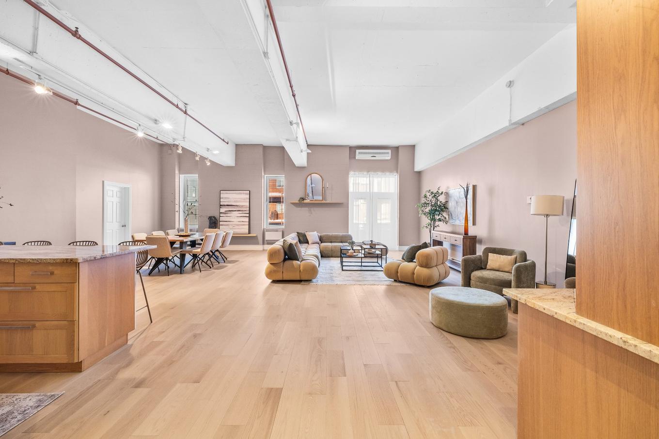 Vue d'ensemble - 227-2801 Rue Du Centre, Montréal (Le Sud-Ouest), QC - Indoor