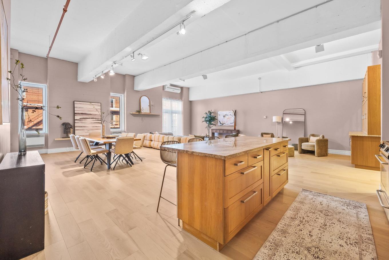 Vue d'ensemble - 227-2801 Rue Du Centre, Montréal (Le Sud-Ouest), QC - Indoor