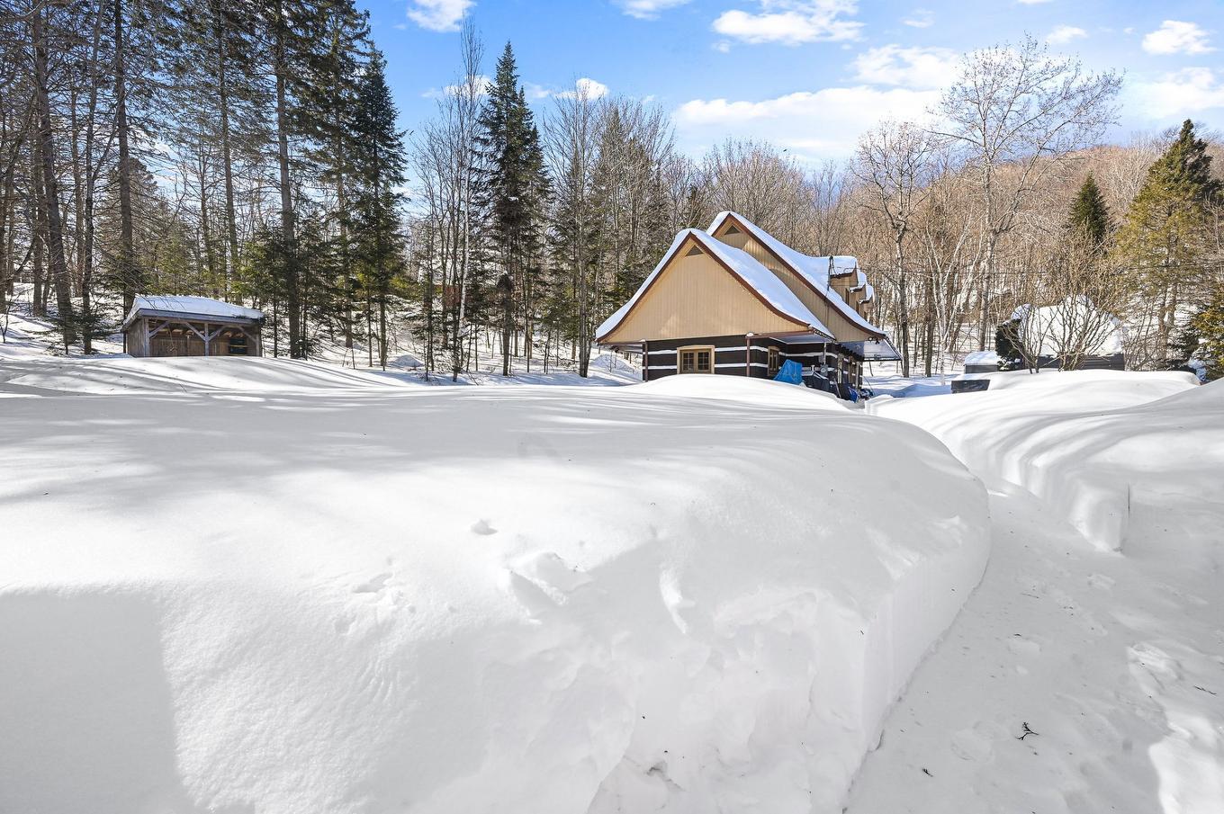 Extérieur - 14 2E Rue Du Domaine-Bavarois, Saint-Sauveur, QC - Outdoor