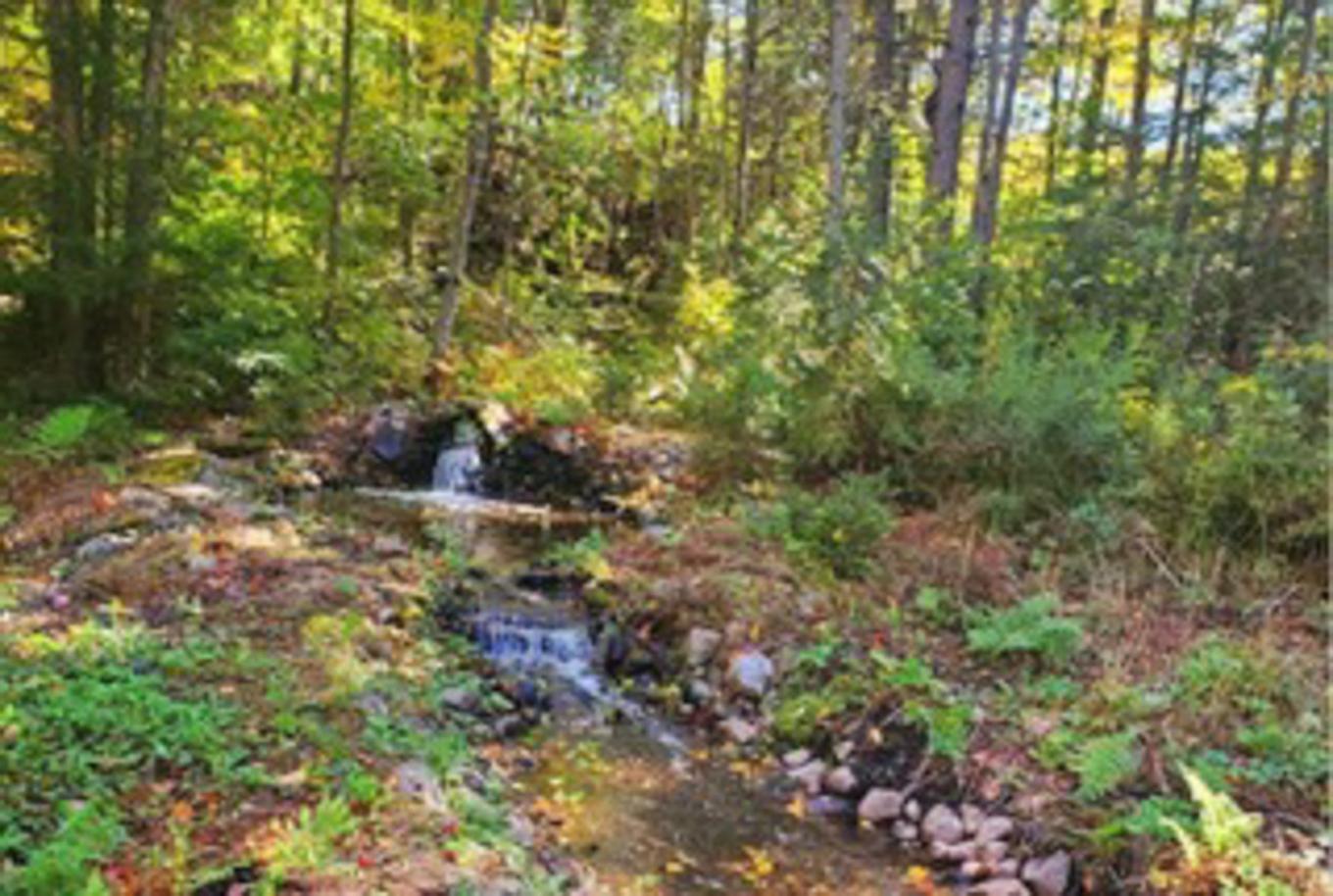 Autre - 14 2E Rue Du Domaine-Bavarois, Saint-Sauveur, QC - Outdoor