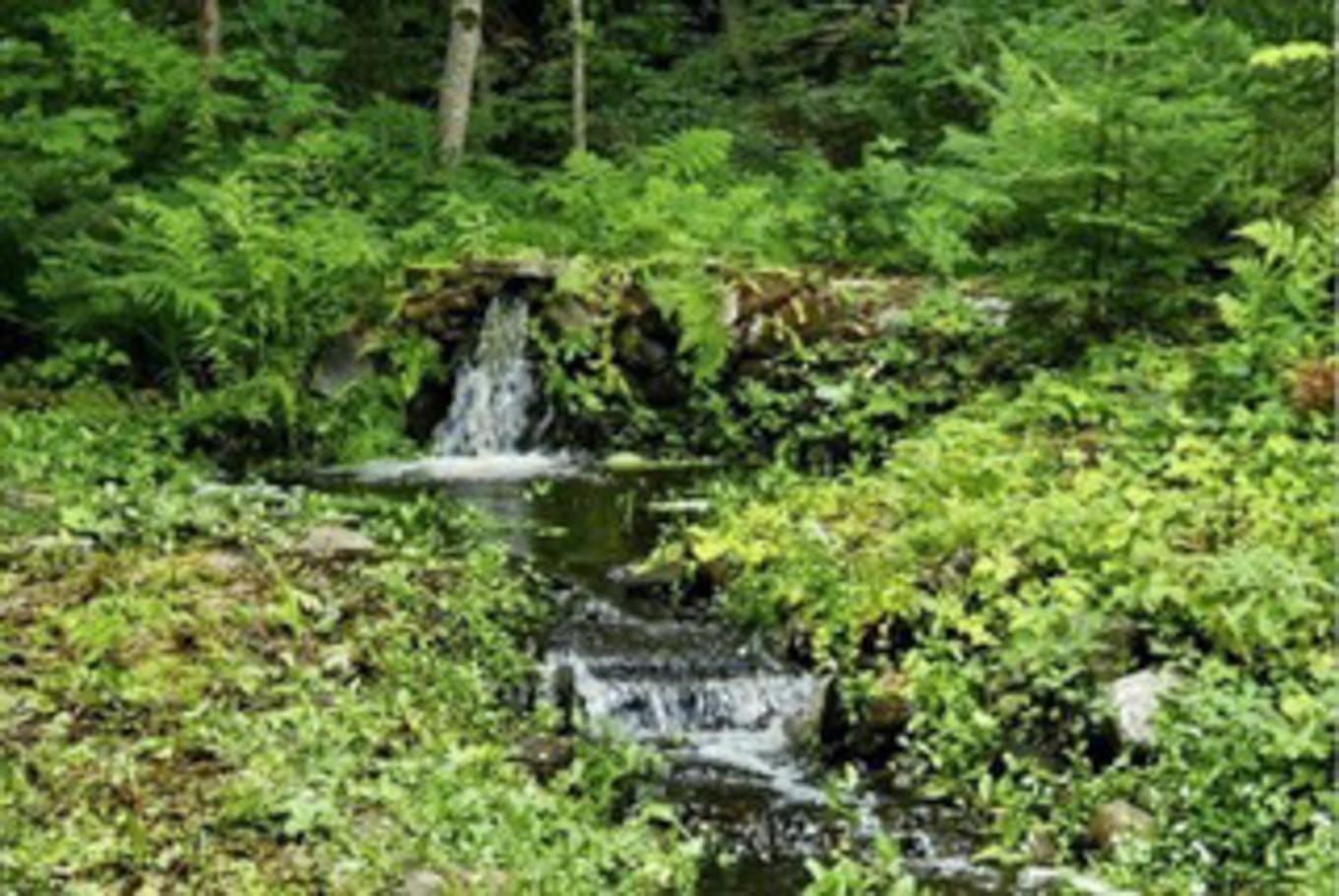 Autre - 14 2E Rue Du Domaine-Bavarois, Saint-Sauveur, QC - Outdoor