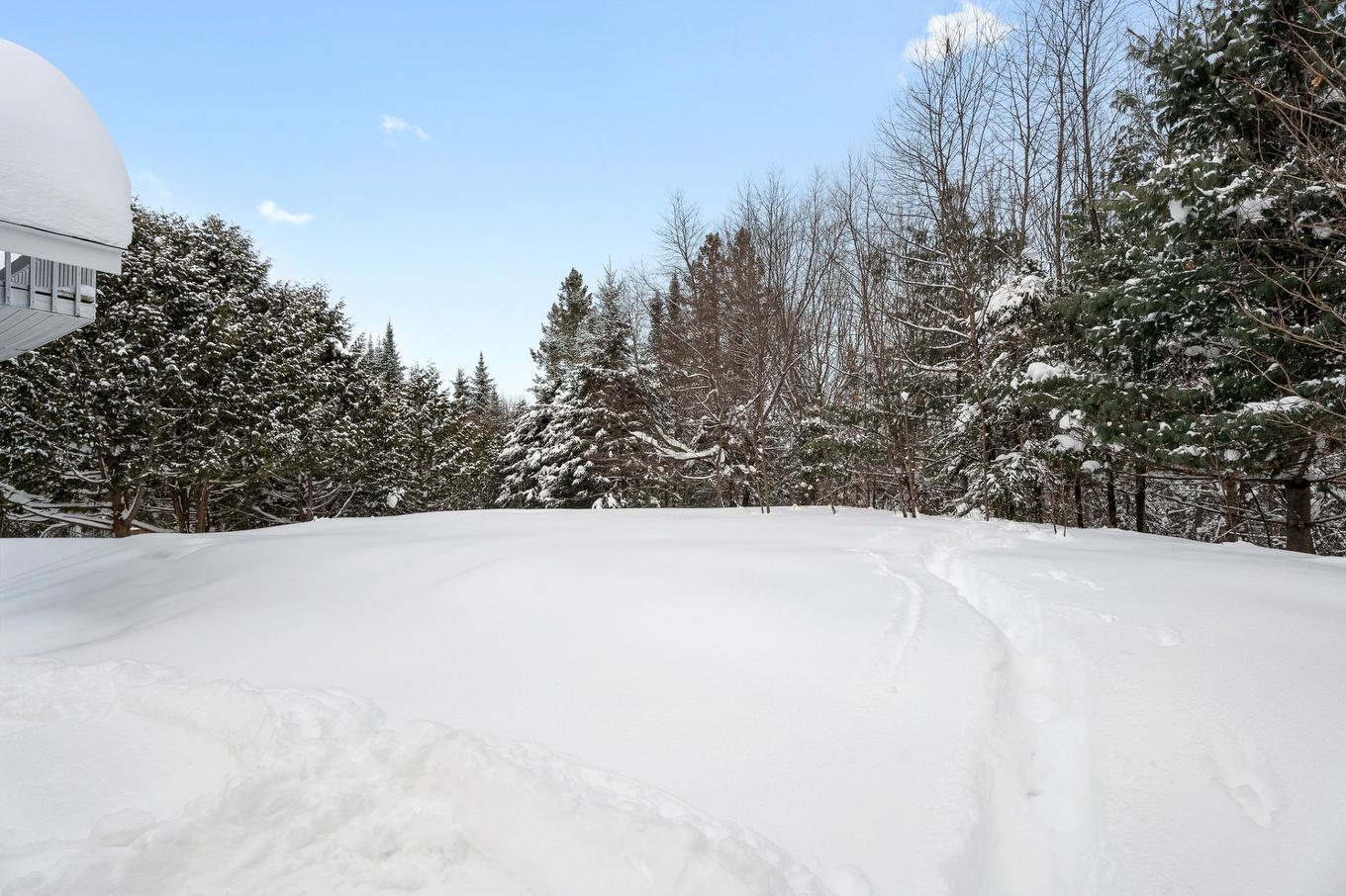 Cour - 31 Ch. Du Domaine-Roger, Lac-Supérieur, QC - Outdoor
