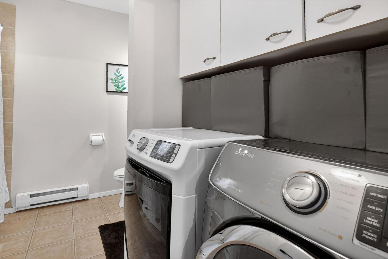 Salle de bains - 12-500 Rue Ste-Hélène, Longueuil (Le Vieux-Longueuil), QC - Indoor Photo Showing Laundry Room