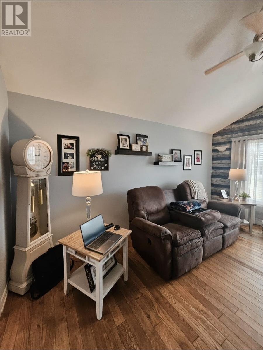 126 Main Road, Markland, NL - Indoor Photo Showing Living Room