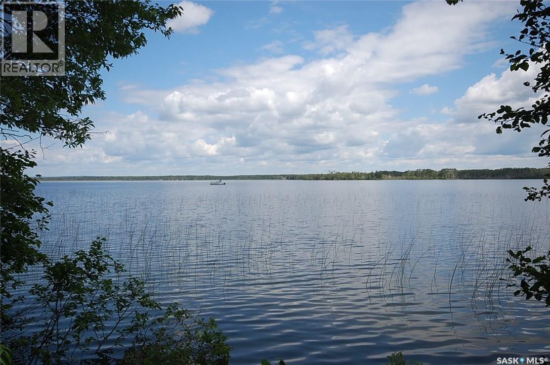 3 Wilson Crescent, Delaronde Lake, SK