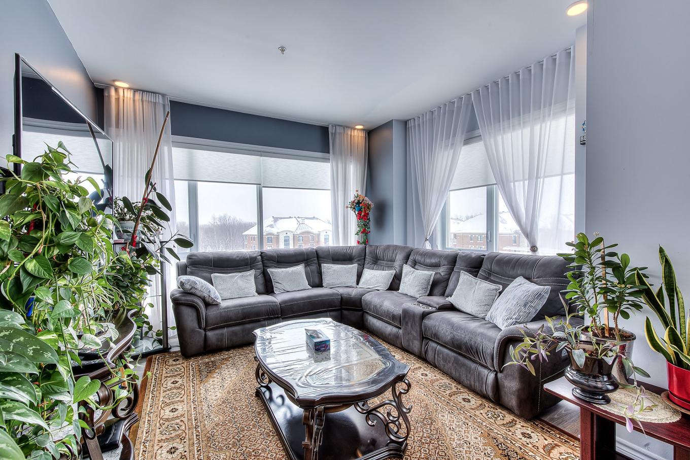 Salon - 401-5980 Rue De La Tourbière, Longueuil (Saint-Hubert), QC - Indoor Photo Showing Living Room