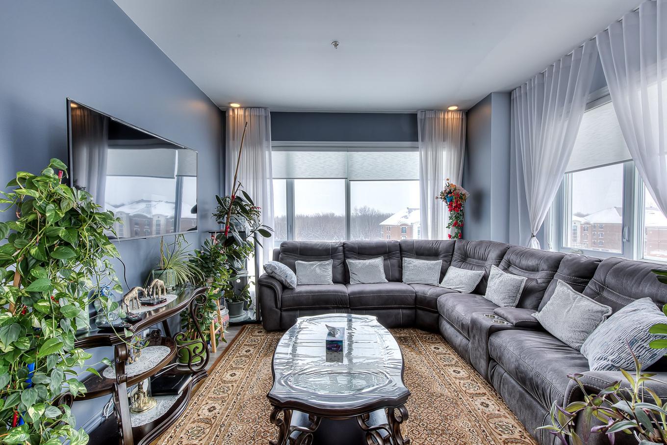 Salon - 401-5980 Rue De La Tourbière, Longueuil (Saint-Hubert), QC - Indoor Photo Showing Living Room