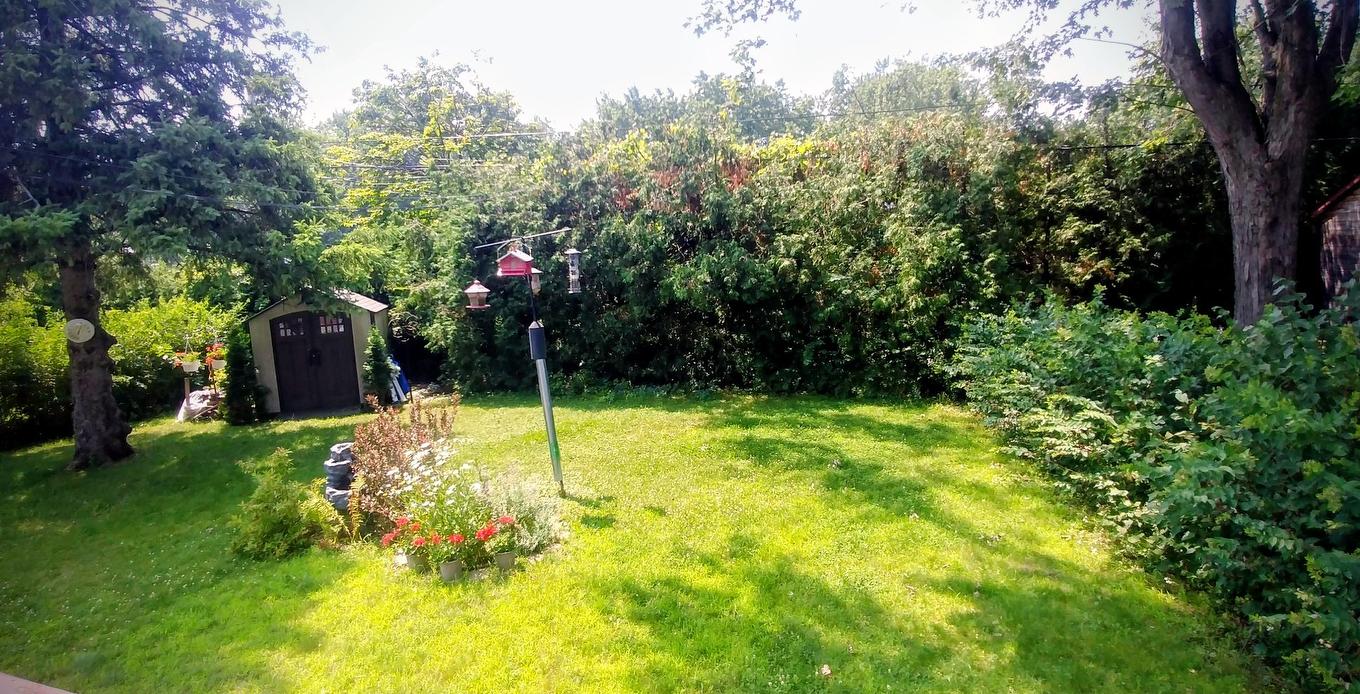 Backyard - 244 Rue Monseigneur-Prévost, Saint-Eustache, QC - Outdoor