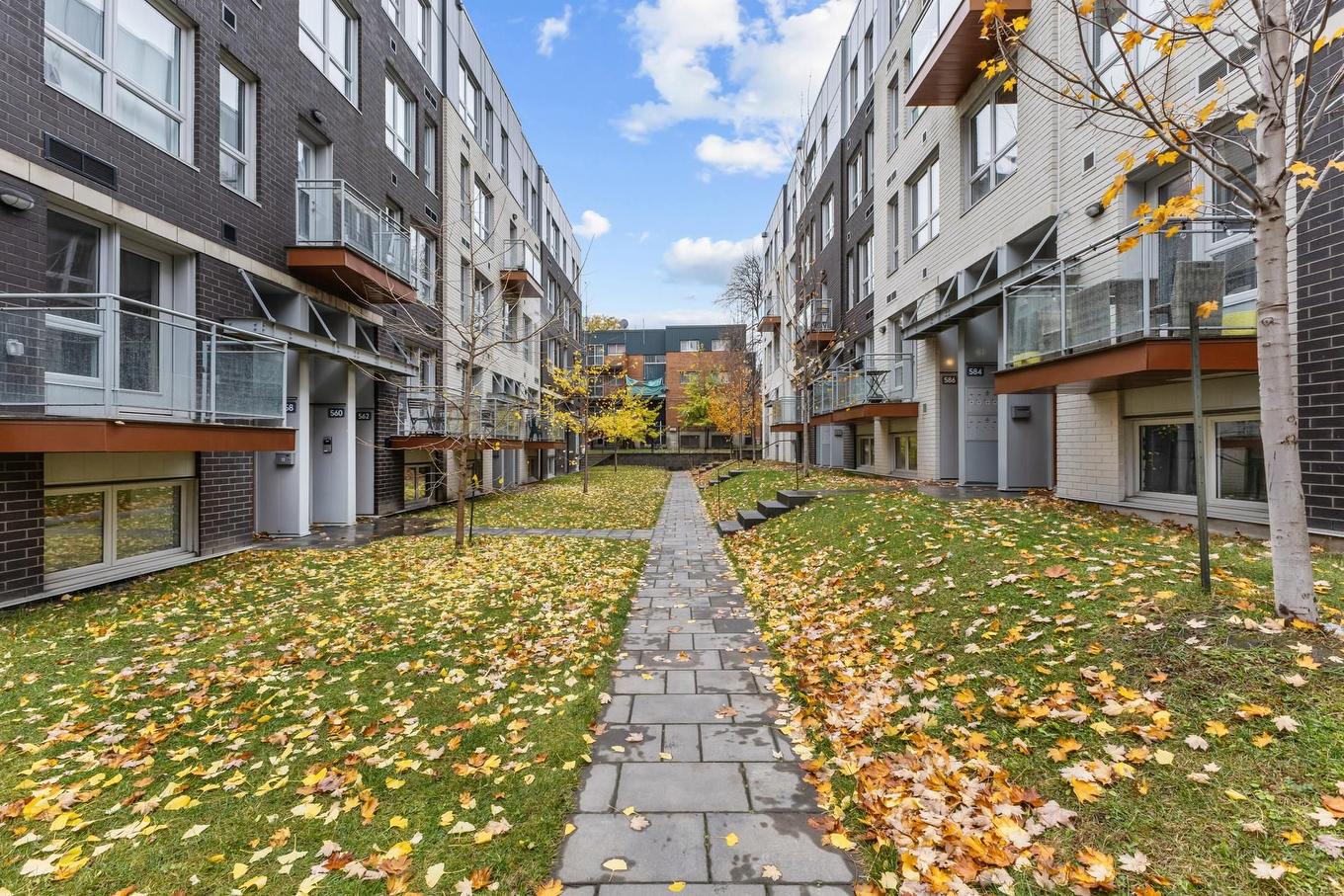 Exterior entrance - 558 Rue Nicolet, Montréal (Mercier/Hochelaga-Maisonneuve), QC - Outdoor