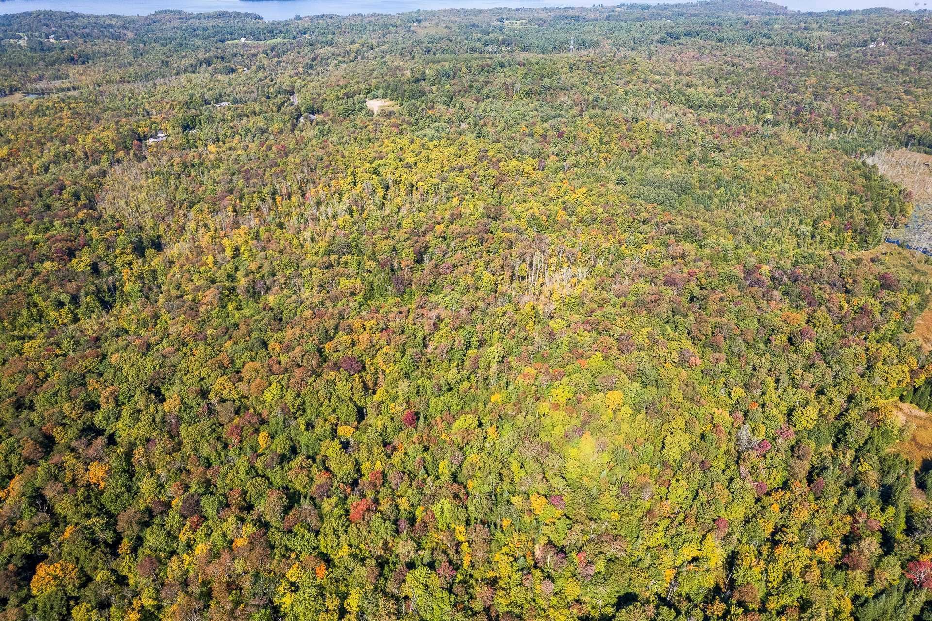 Photo aérienne - 19 Ch. Laurendeau, Magog, QC
