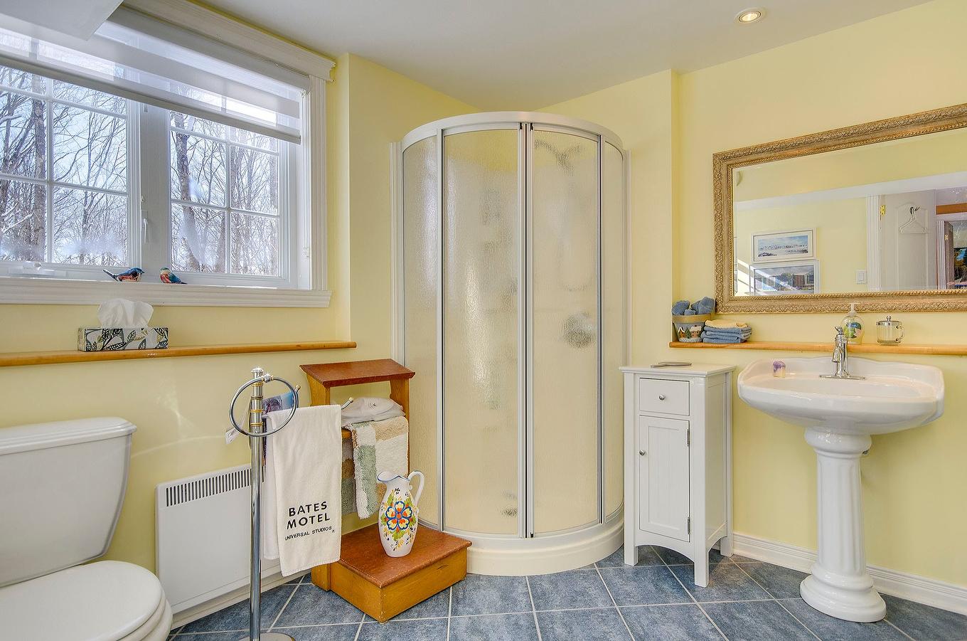 Bathroom - 725 Ch. Du Boisé, Sutton, QC - Indoor Photo Showing Bathroom