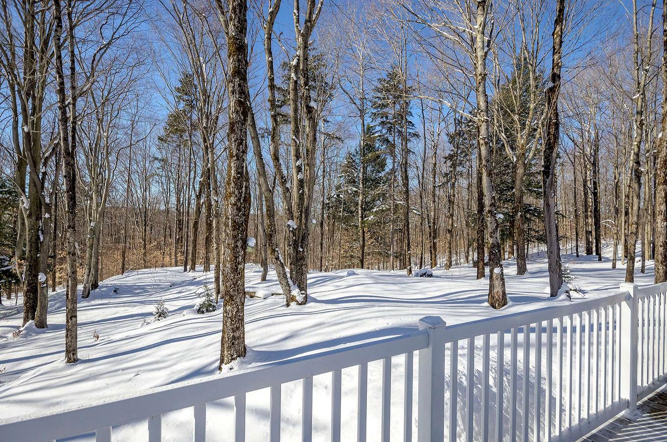 Land/Lot - 725 Ch. Du Boisé, Sutton, QC - Outdoor