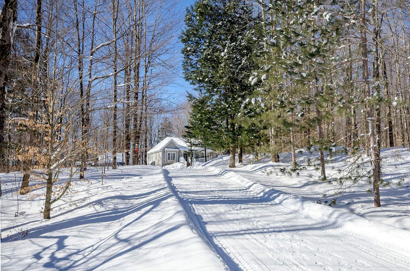 Exterior - 725 Ch. Du Boisé, Sutton, QC - Outdoor With View