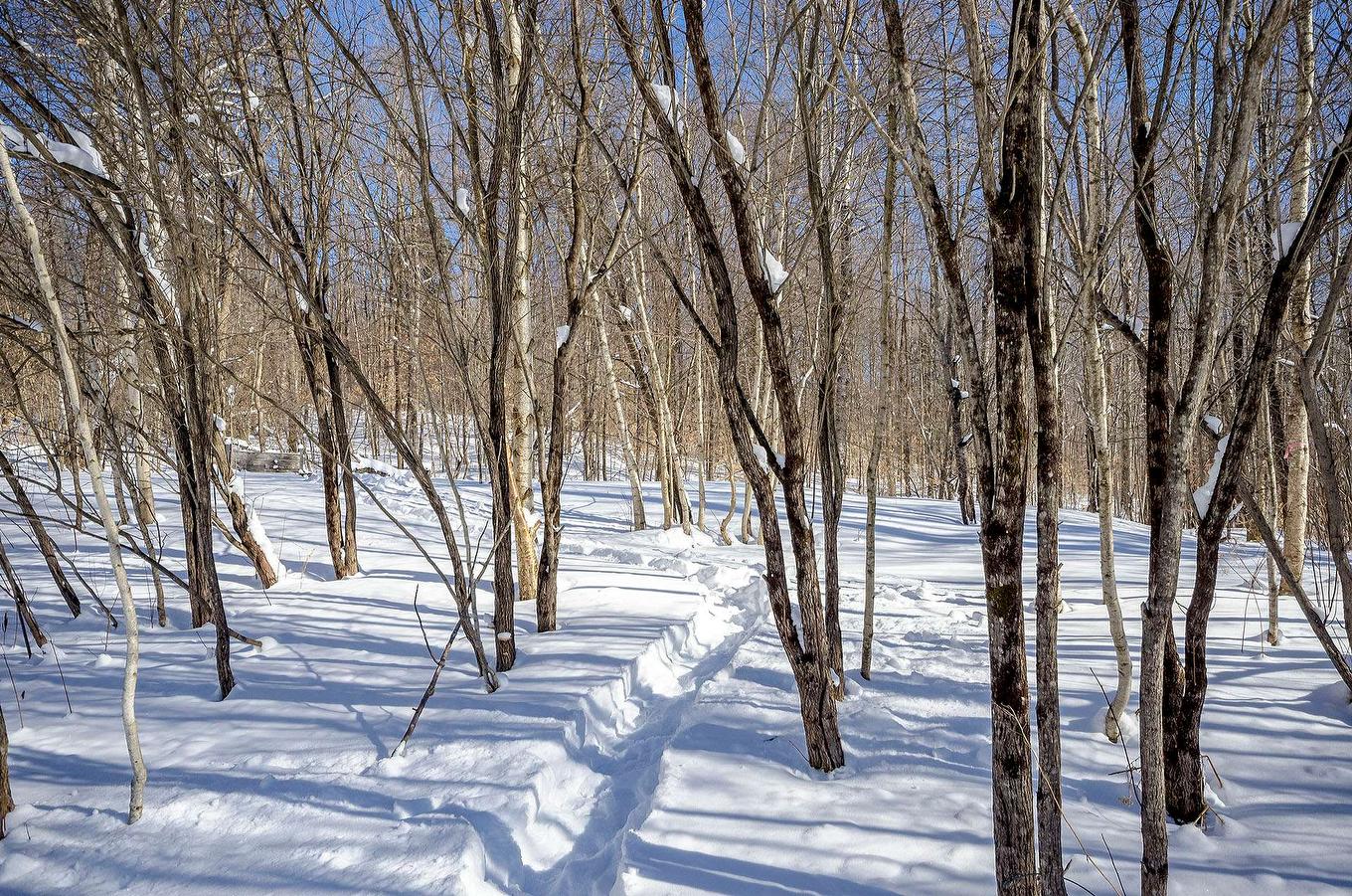 Land/Lot - 725 Ch. Du Boisé, Sutton, QC - Outdoor With View