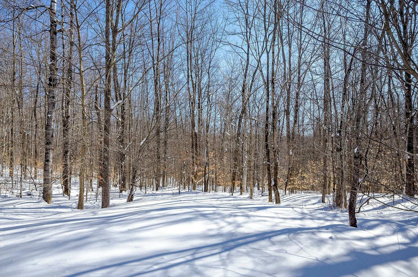 Land/Lot - 725 Ch. Du Boisé, Sutton, QC - Outdoor With View
