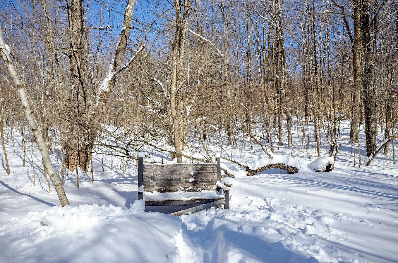 Land/Lot - 725 Ch. Du Boisé, Sutton, QC - Outdoor With View