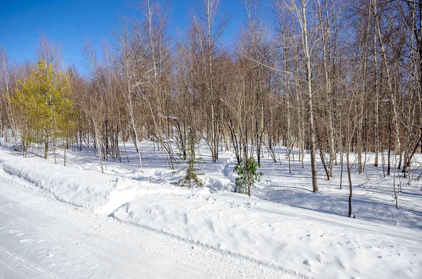 Land/Lot - 725 Ch. Du Boisé, Sutton, QC - Outdoor With View