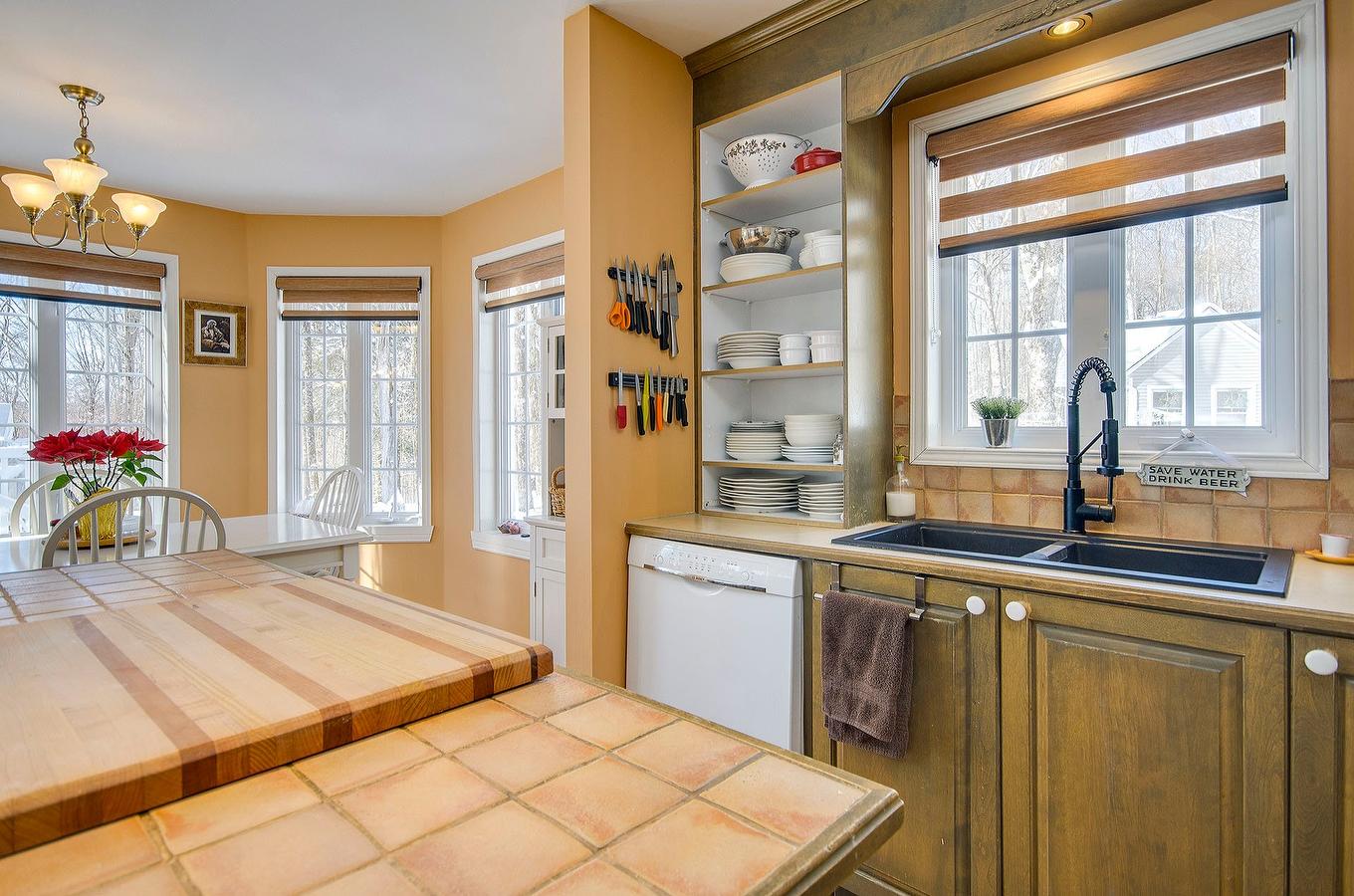 Kitchen - 725 Ch. Du Boisé, Sutton, QC - Indoor Photo Showing Kitchen With Double Sink