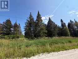 5 Meadow Brook Rd Ext Reidville, NL A8A 0B4