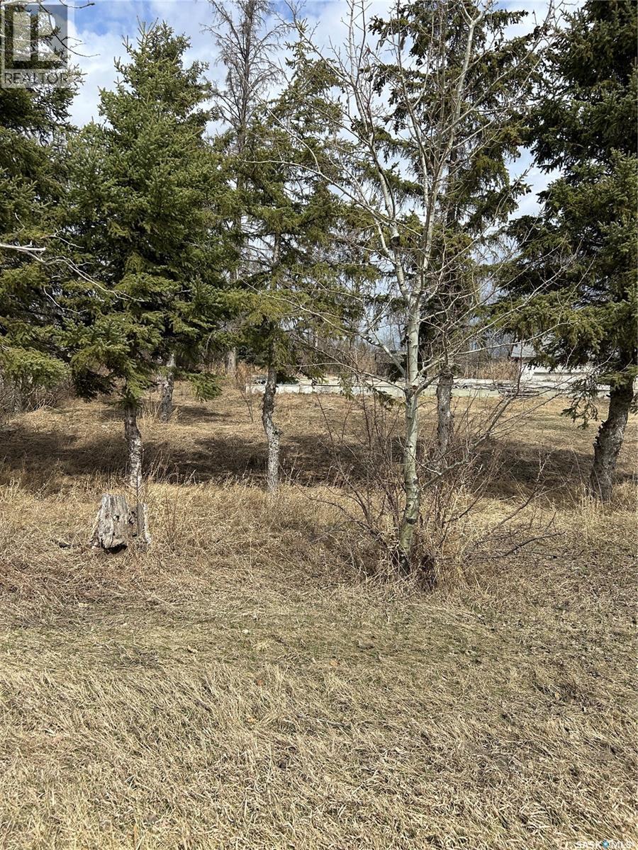 Mcgregor Acreage, Star City, SK