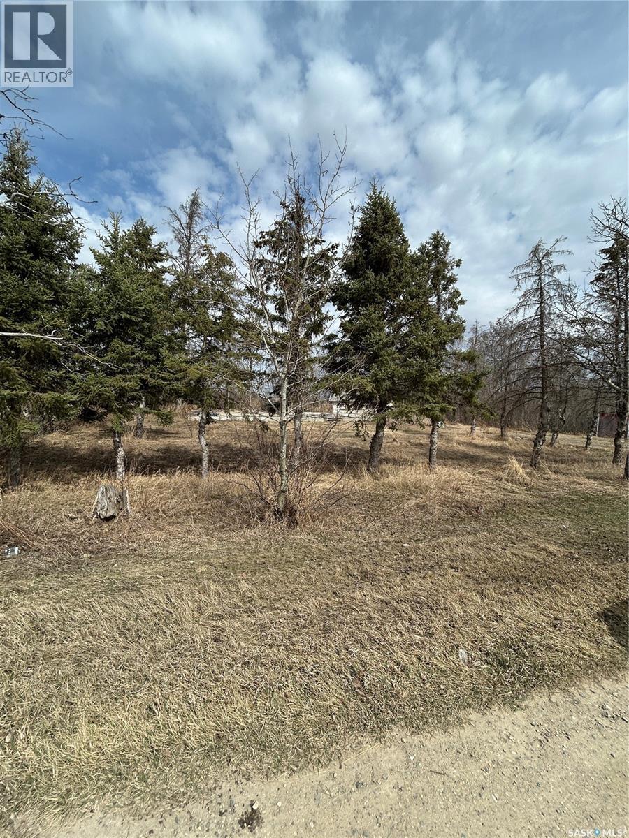 Mcgregor Acreage, Star City, SK