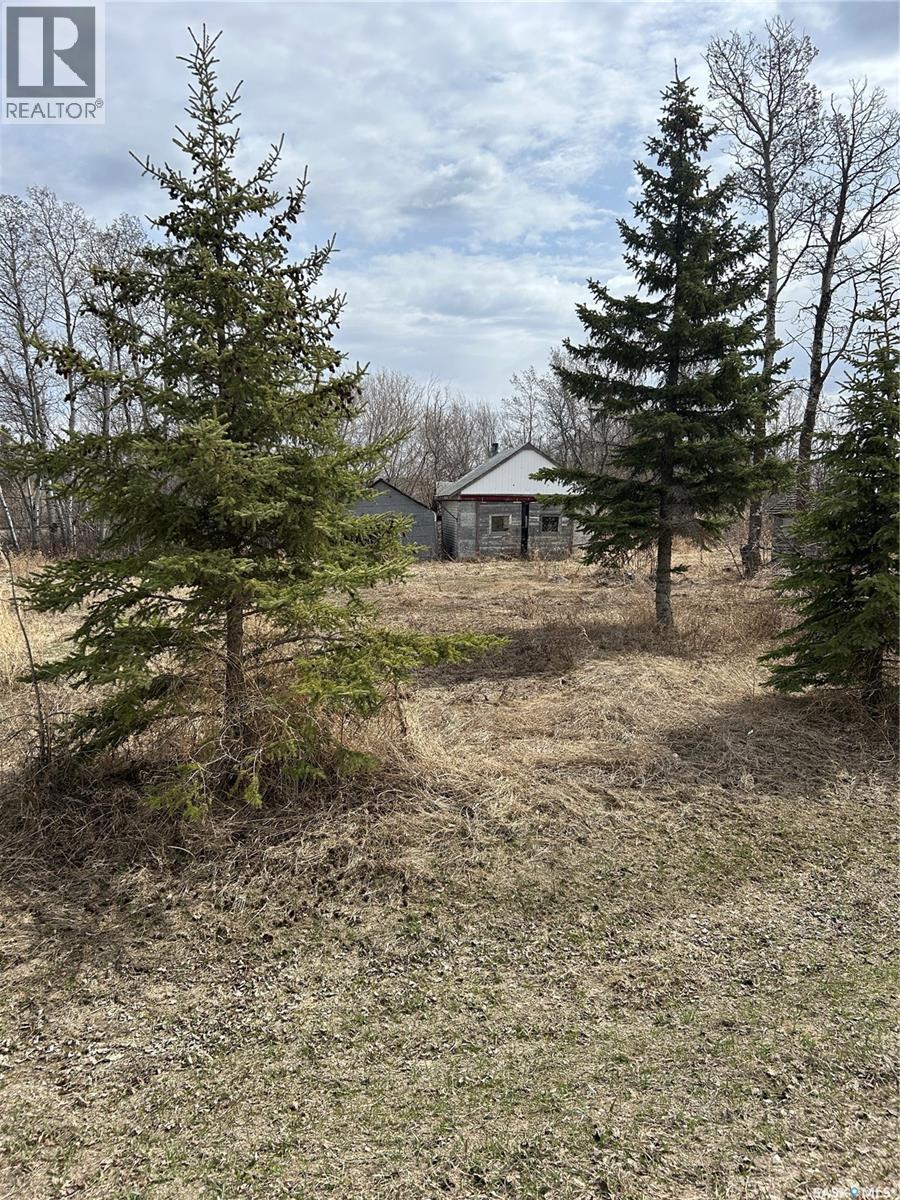 Mcgregor Acreage, Star City, SK