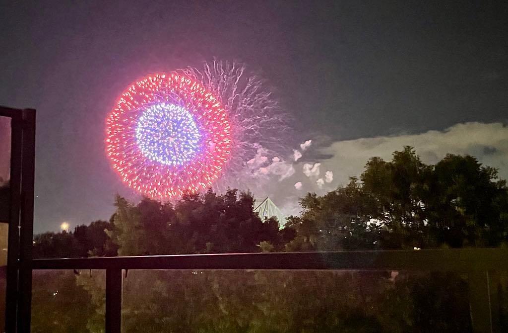 Vue - 605-1575 Rue Gareau, Montréal (Ville-Marie), QC - Outdoor