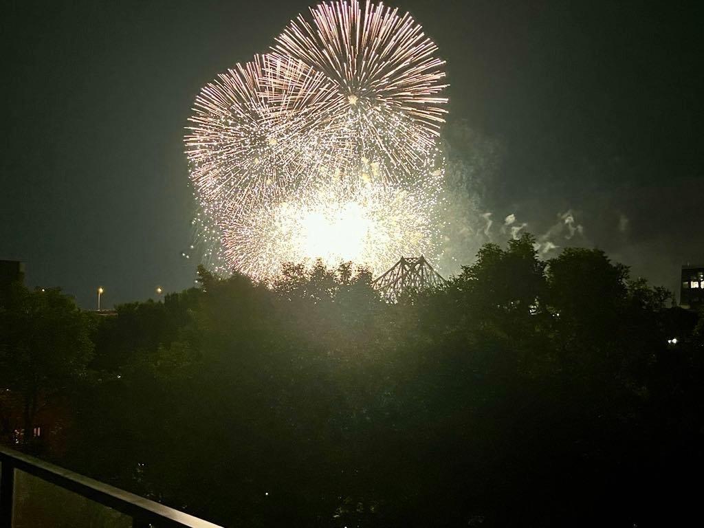 Vue - 605-1575 Rue Gareau, Montréal (Ville-Marie), QC - Outdoor With Body Of Water