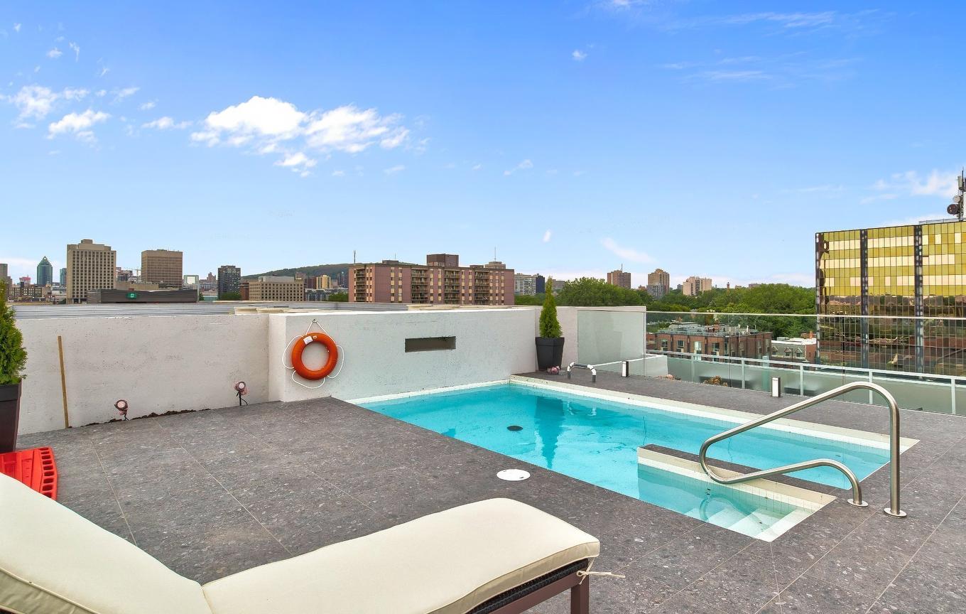Piscine - 605-1575 Rue Gareau, Montréal (Ville-Marie), QC - Outdoor With In Ground Pool