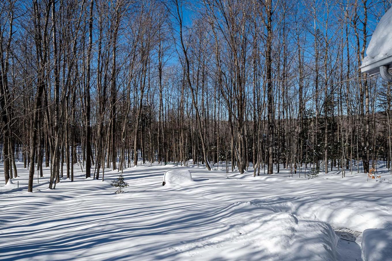 Land/Lot - 1566 Rue Michel-Blondin, Prévost, QC - Outdoor With View