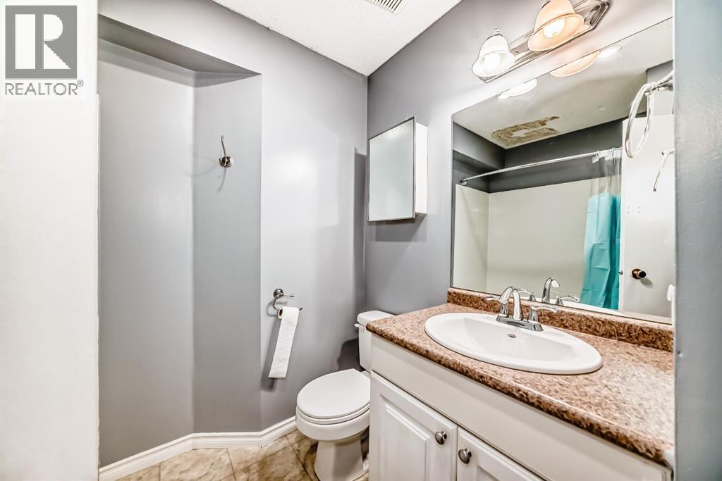 131 Taradale Drive Ne, Calgary, AB - Indoor Photo Showing Bathroom