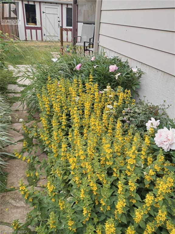 4 Maple Crescent, Paris, ON - Outdoor