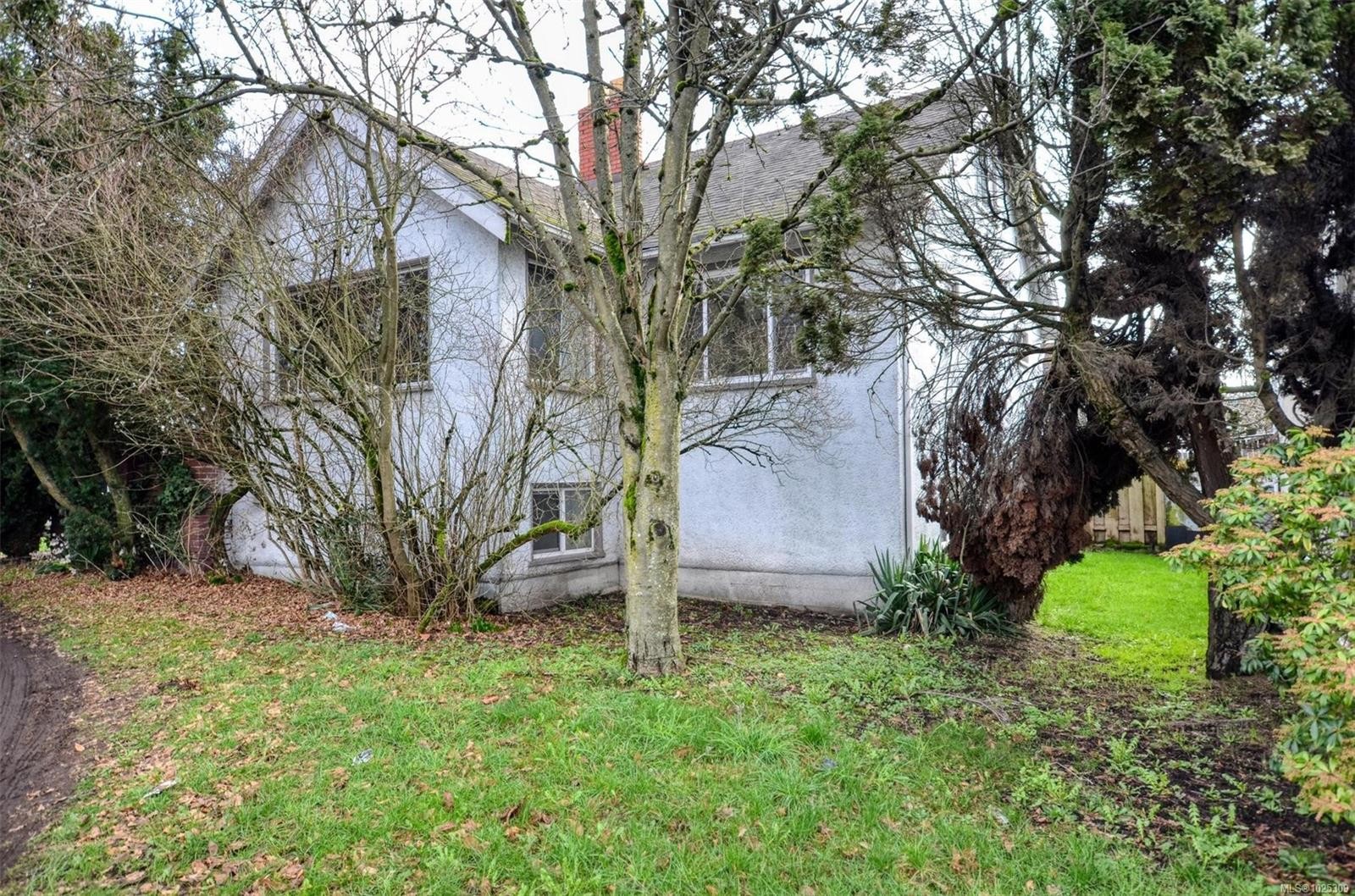 1237 Hillside Ave, Victoria, BC