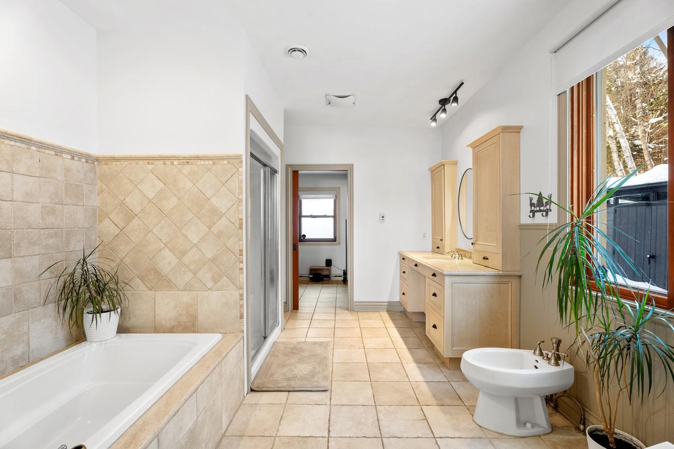 Ensuite bathroom - 2966 Rue Du Domaine-Du-Lac-Lucerne, Sainte-Adèle, QC - Indoor Photo Showing Bathroom