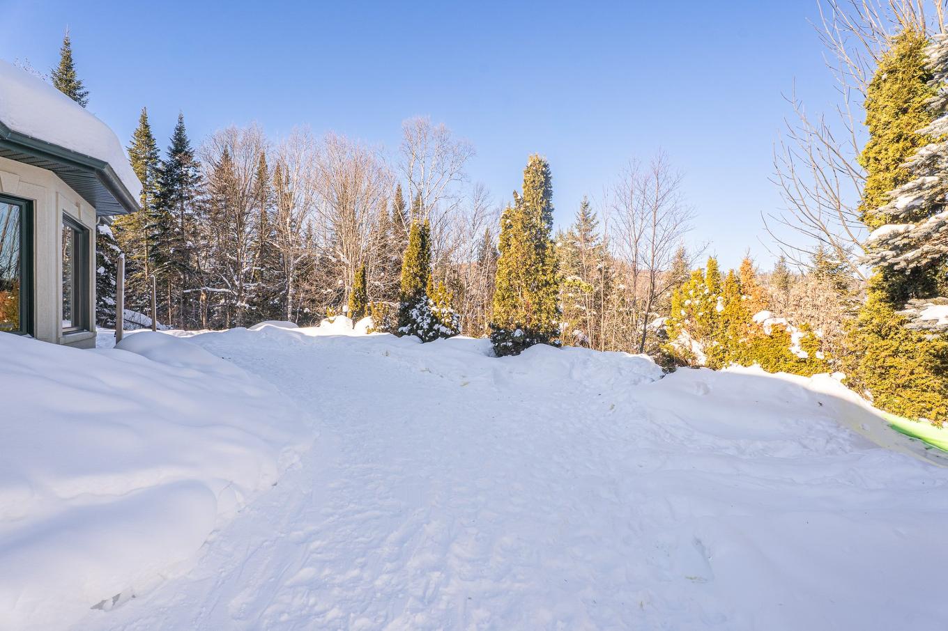 Backyard - 2966 Rue Du Domaine-Du-Lac-Lucerne, Sainte-Adèle, QC - Outdoor