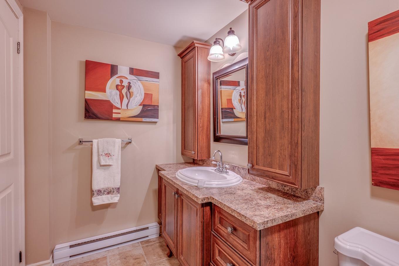 Salle de bains - 61 Av. Chartier, Saint-Sauveur, QC - Indoor Photo Showing Bathroom