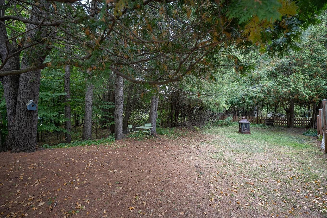 Cour - 61 Av. Chartier, Saint-Sauveur, QC - Outdoor