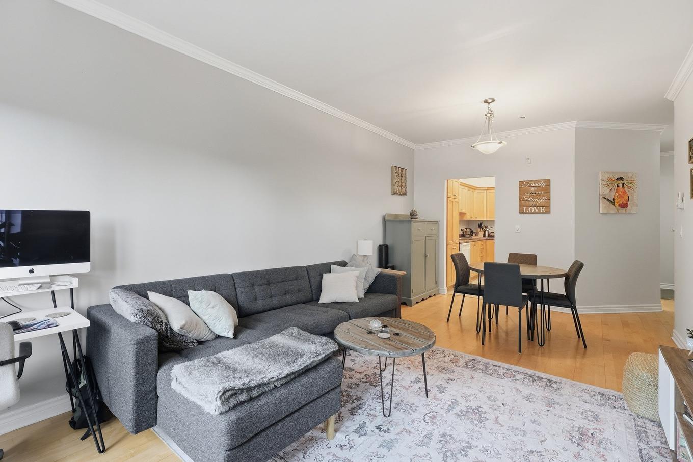 Salon - 205-154 Boul. De Lucerne, Gatineau (Hull), QC - Indoor Photo Showing Living Room