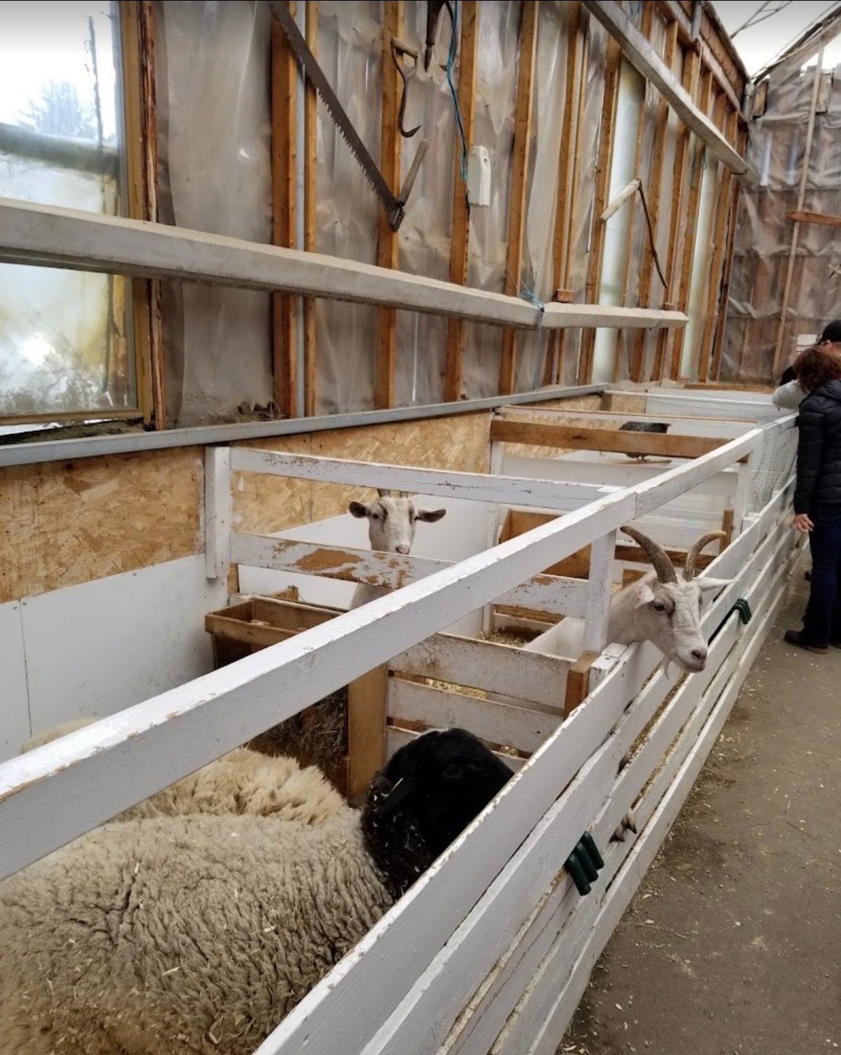 Intérieur - 396 Ch. Hallé O., Brigham, QC - Indoor Photo Showing Other Room