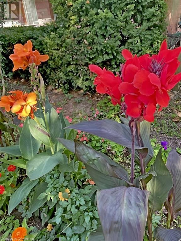 96 Second Road E, Hamilton, ON - Outdoor