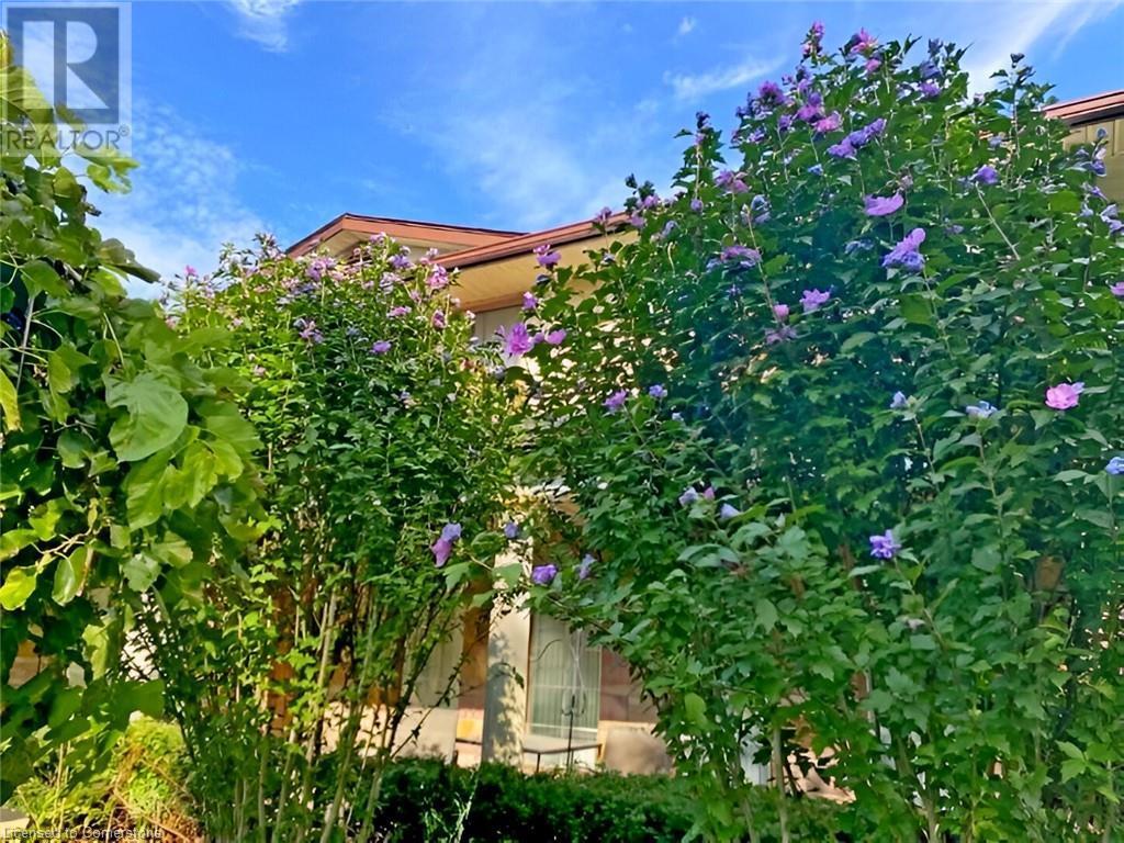 96 Second Road E, Hamilton, ON - Outdoor