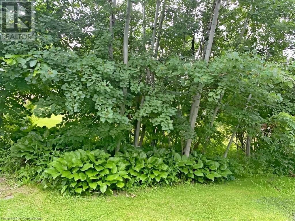 96 Second Road E, Hamilton, ON - Outdoor