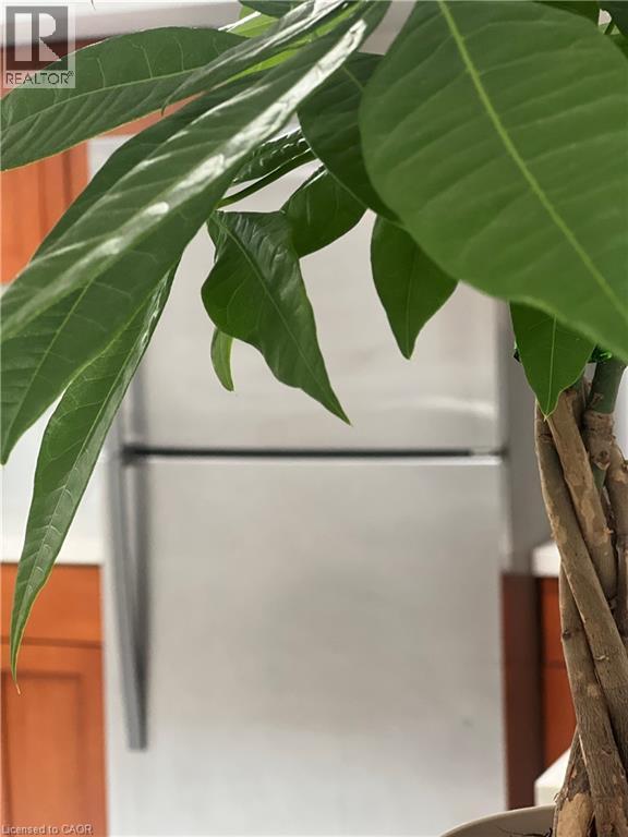 99 Brucedale Avenue E, Hamilton, ON - Photo Showing Other Room